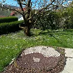 Vineyard Tilka * Novo Mesto