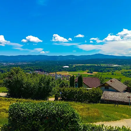 Vineyard Tilka Novo Mesto