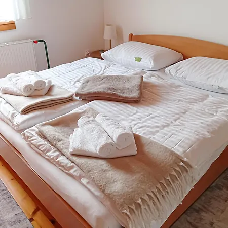 Vineyard Tilka Novo Mesto