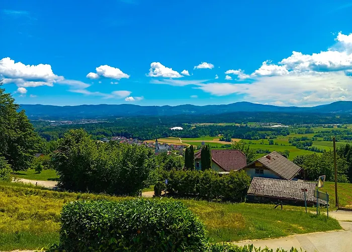 Vineyard Tilka Novo Mesto