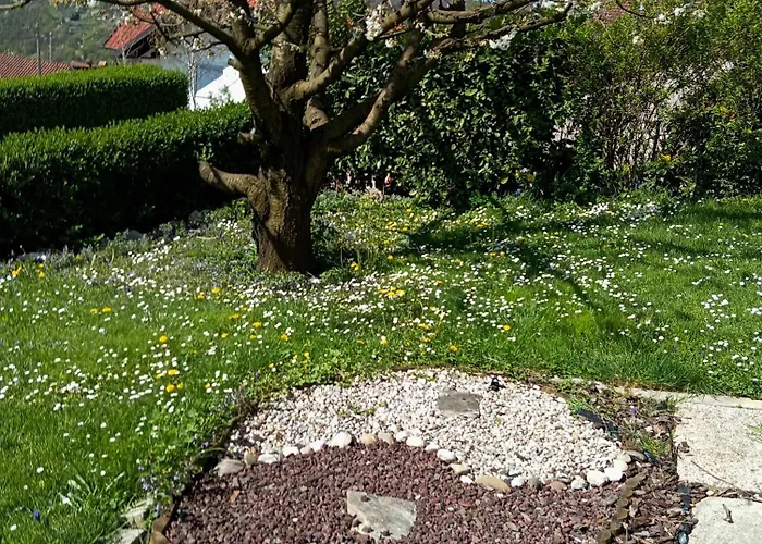 Vineyard Tilka * Novo Mesto