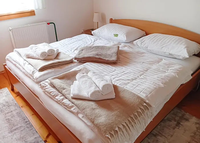 Vineyard Tilka Novo Mesto