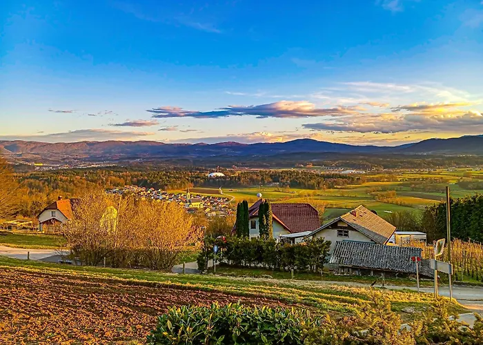 Vineyard Tilka Holiday home Novo Mesto